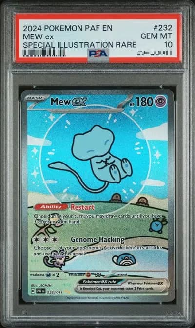MEW ex